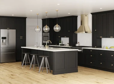 Onyx Shaker Cabinets 4